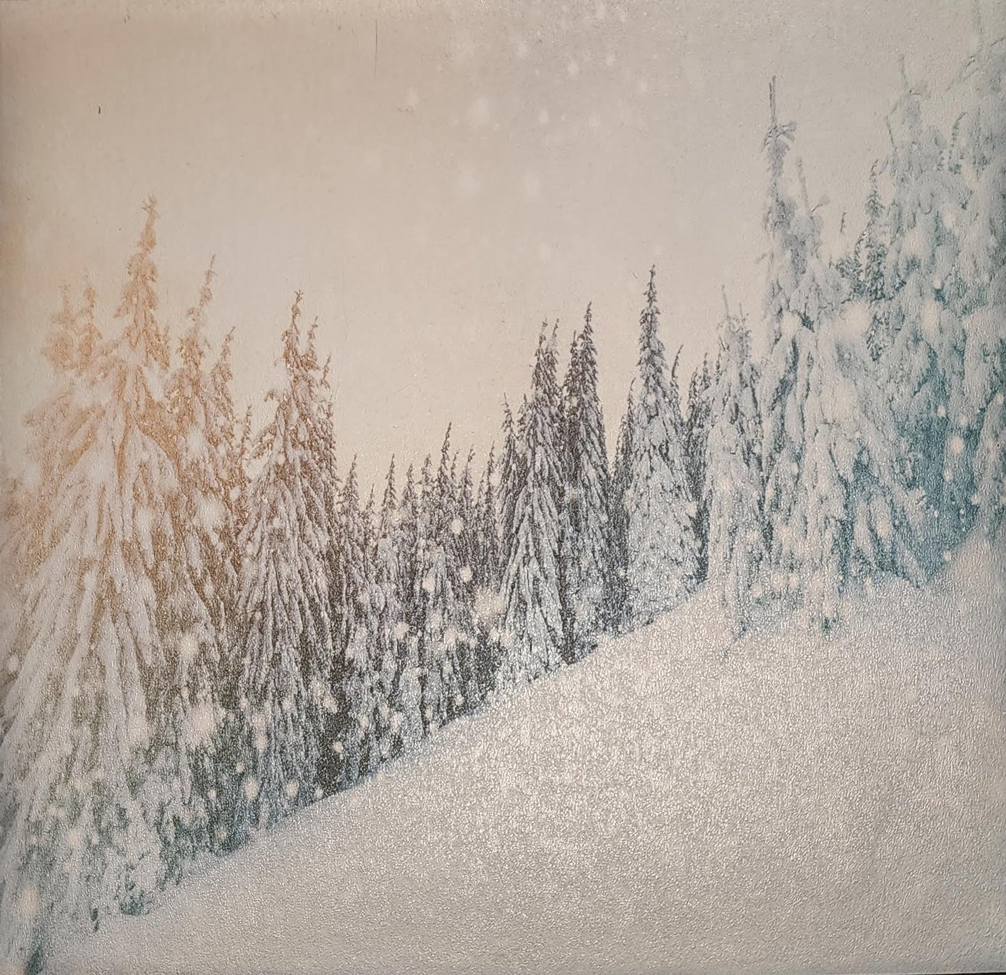 HOLSTER MATERIAL | Specialty Prints (+$14.99)