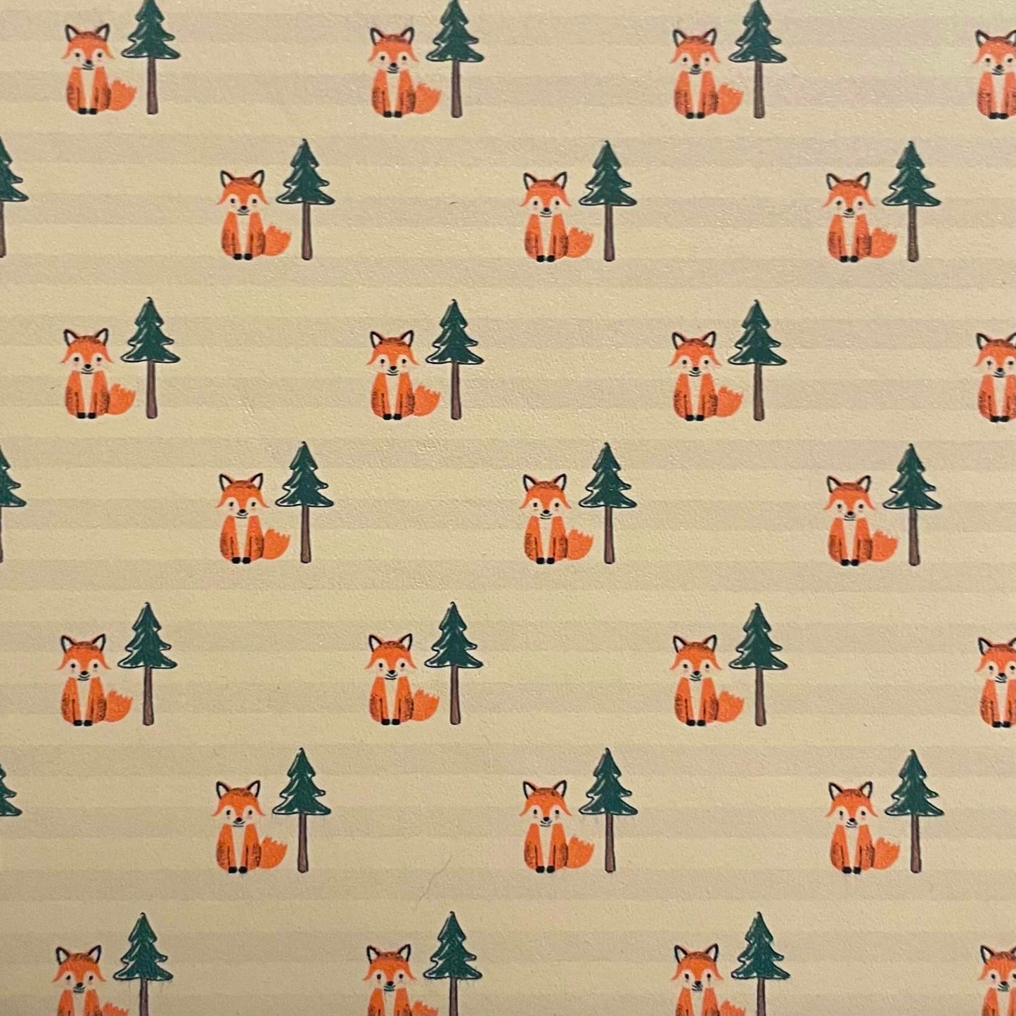 HOLSTER MATERIAL | Specialty Prints (Dump Trays -- No upcharge)